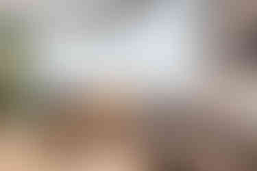 Escritório comercial Nutri Food Service com sala de trabalho com escrivaninha, sofá. Detalhes em laranja, verde e madeira