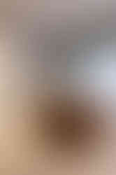 Escritório comercial Nutri Food Service com copa para funcionários. Detalhes em laranja, verde, plantas e madeira