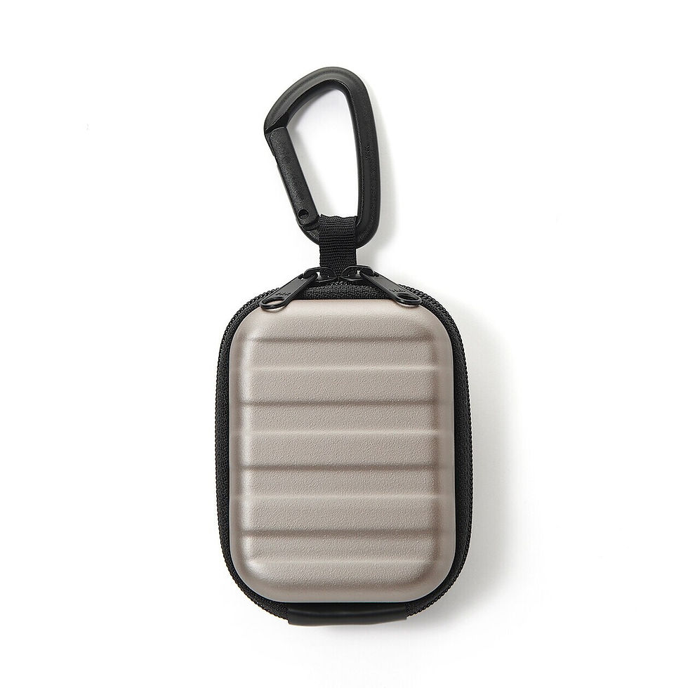 Thumbnail: Mini Carry Case