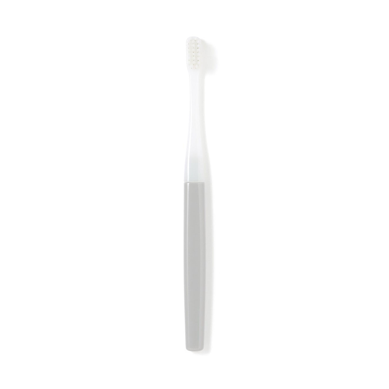 Toothbrush With Replaceable Head Regular