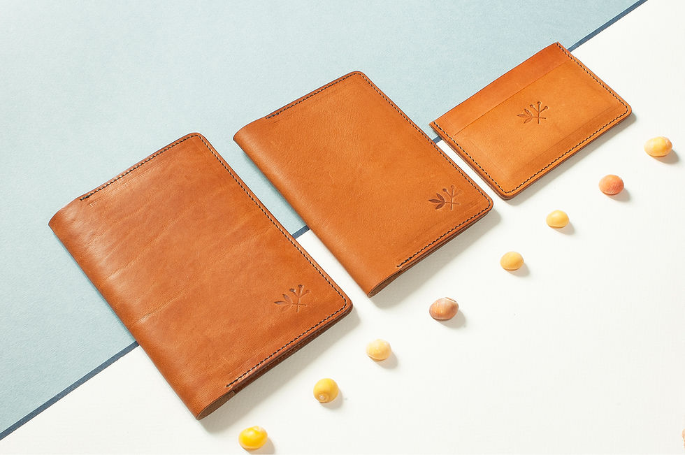 Miniature : Porte-passeport Plymouth - marine & acajou