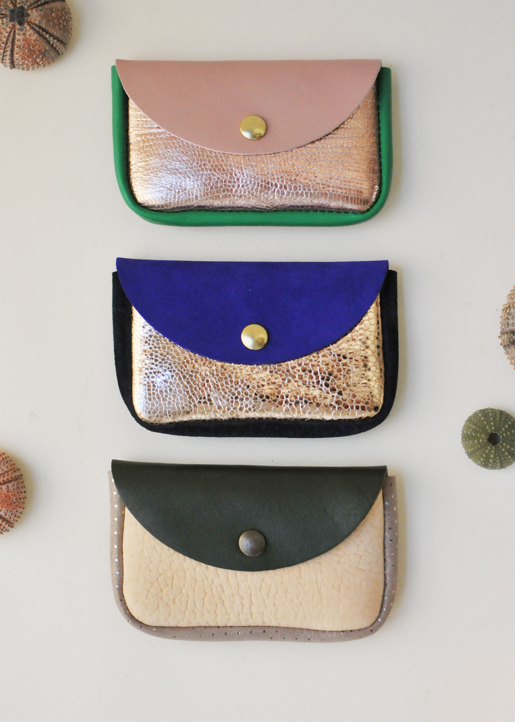 Landéda - les petits brillants