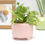 Thumbnail: Stripes legged planter