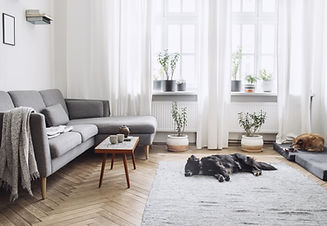 Clean Living Room