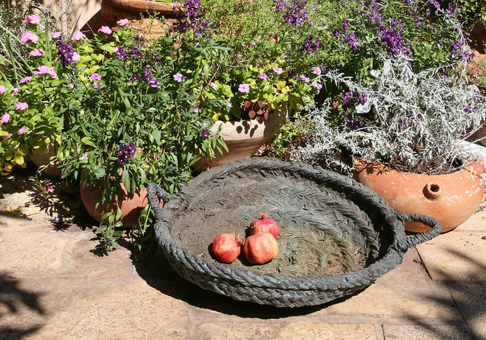 סל ברונזה, יעל ארליכמן