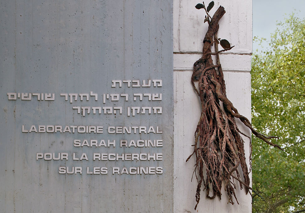 Roots, 2011