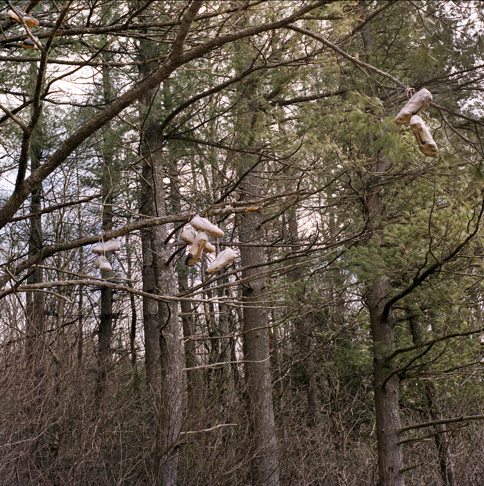 Screenshot 2025-05-04 at 8.31.53 AM.png