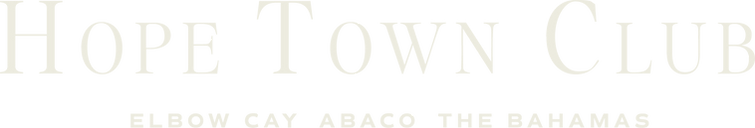 wordmark no coords.png