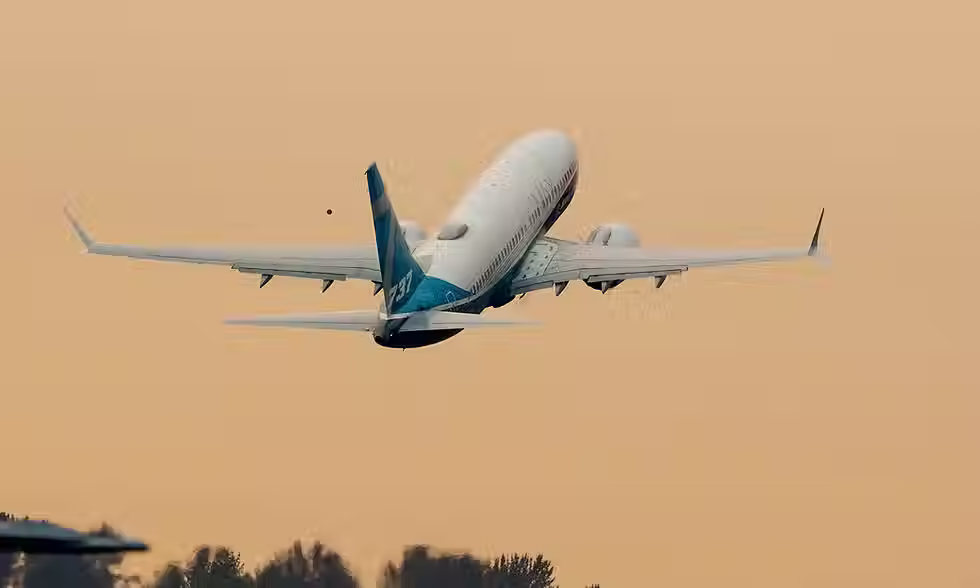 2529.avif