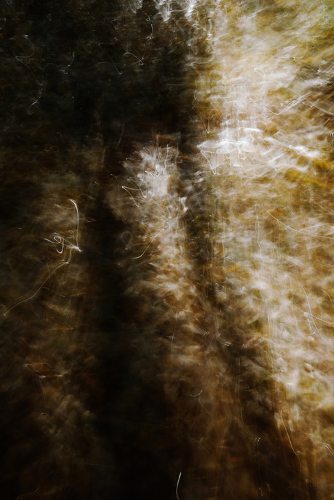 kavelylla_DSC2627.jpg
