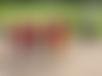 Challenge Raid 2024,Nous (le JAR) y étions...