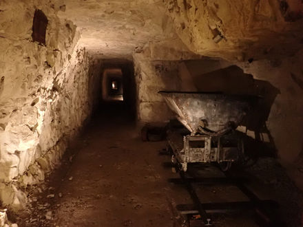 La carrière Wellington, la citadelle, les places d'Arras: une journée bien remplie