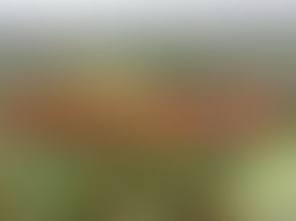 Le Marais de St Omer, le dimanche 23 avril