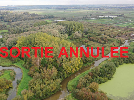 Le Marais de St Omer, le dimanche 23 avril