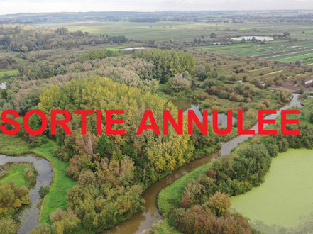 Le Marais de St Omer, le dimanche 23 avril