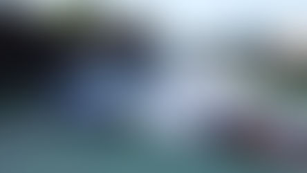 Breaking Records: The Quest for the Most Points in an F1 Season