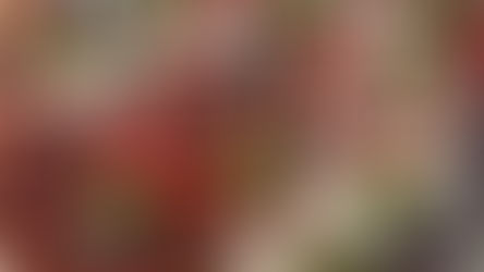 מניפת חצילים עם גבינות