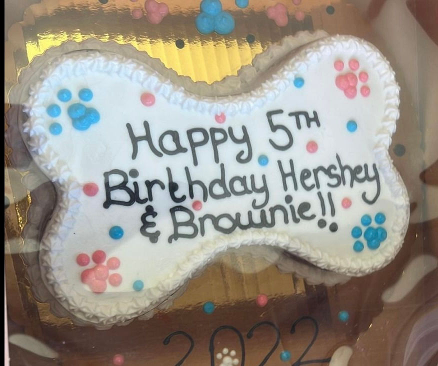 Thumbnail: 9” Regular Bone Cake