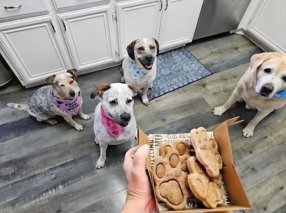 Dogs gathered around a box of Pawpaw's and other treats at Pawtriotic Dog Bakery in Murrieta