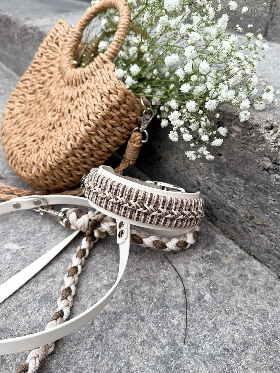 Miniaturbild: Ivory Spring - Thea