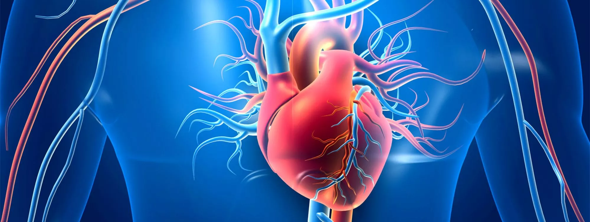csm_header_kardiologie1.webp
