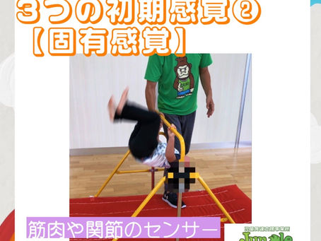 初期感覚②~固有感覚について