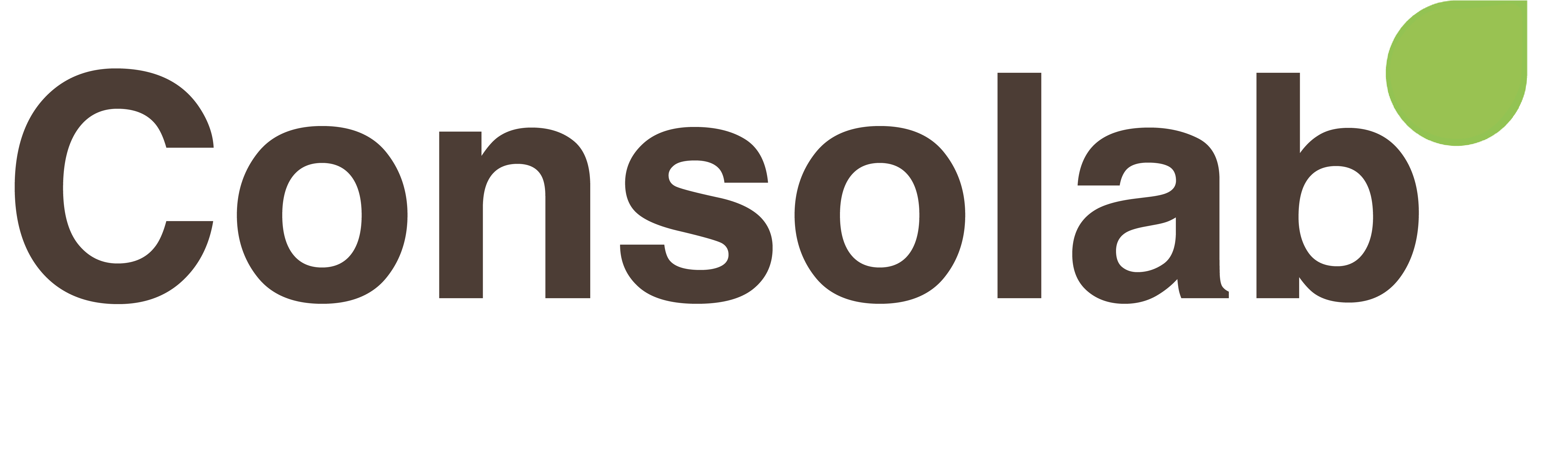 ConsoLab_logo.png