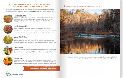 Autumn Adventure Guide 4