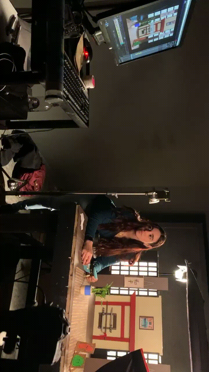 MOV.gif