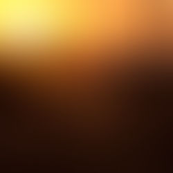 Fiktion oder Realität - was entscheidet über Erfolg oder Träumerei...?