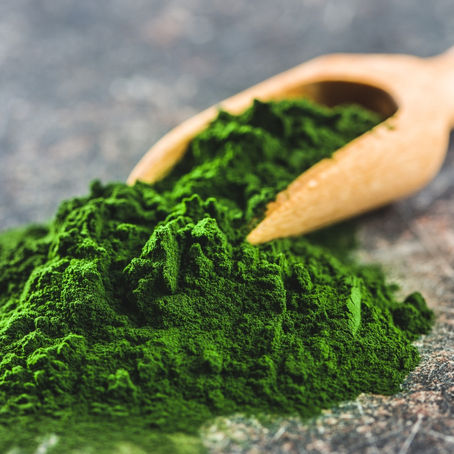 Entgiften mit Chlorella