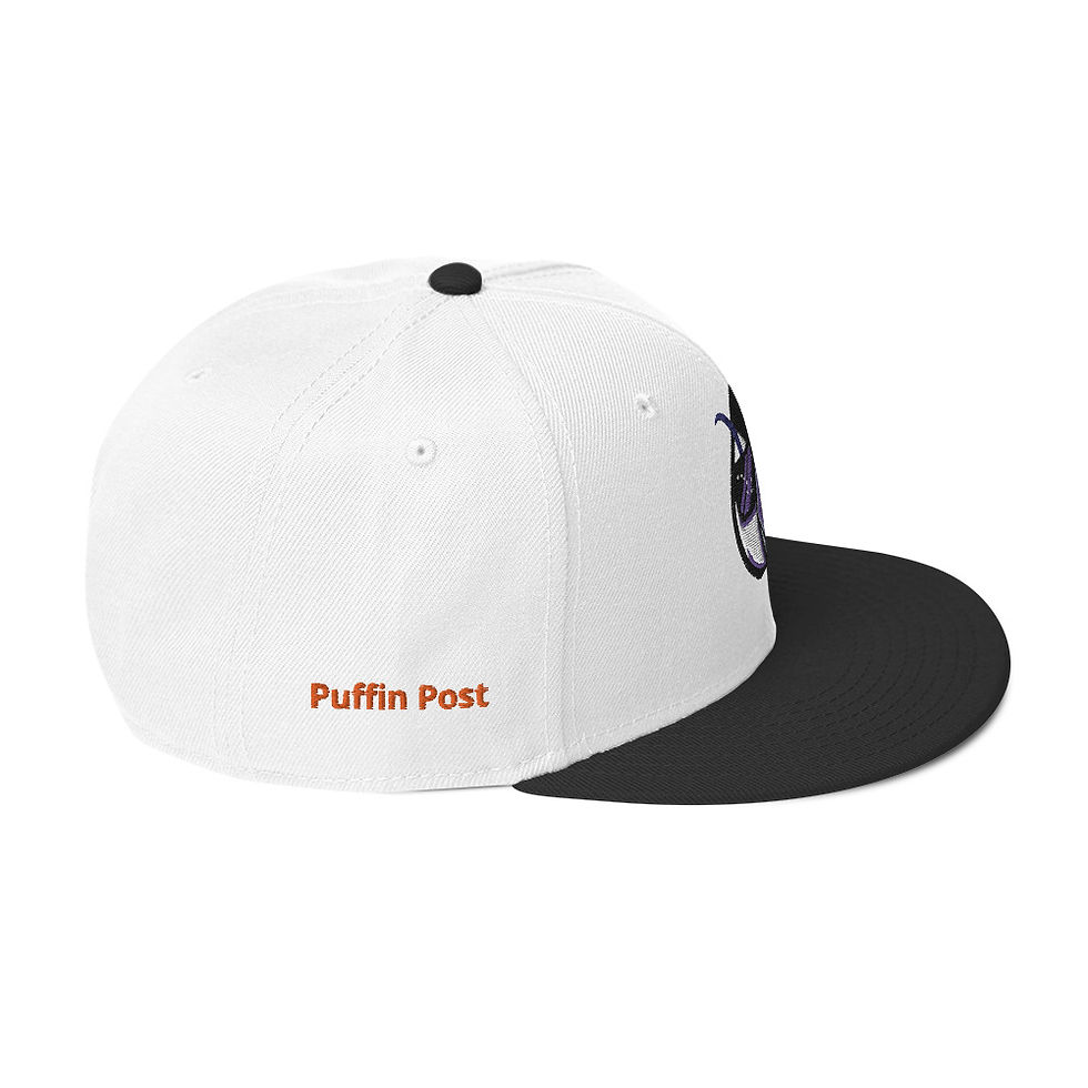 Thumbnail: Snapback Hat