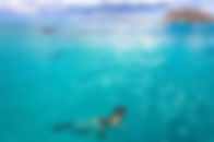 snorkel