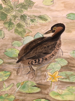 Water Color (Adult)
