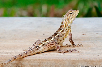 5734270808_324e0fd34f_o