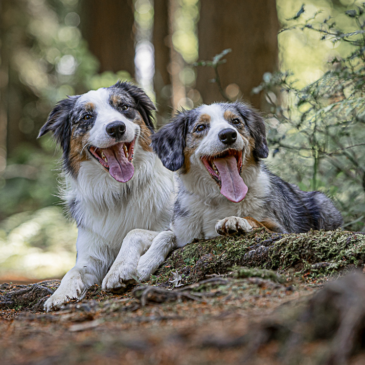 Copy of Cleo and Mobi - 320_edited.jpg