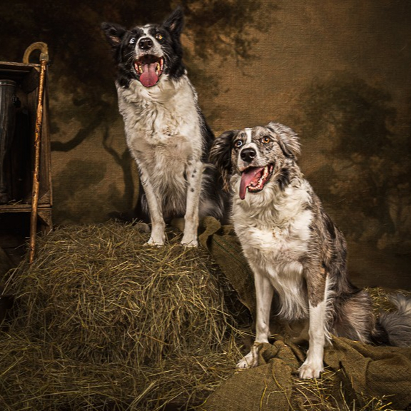 Copy of Riley and Haley - 019-Edit-Lo Res_edited.jpg