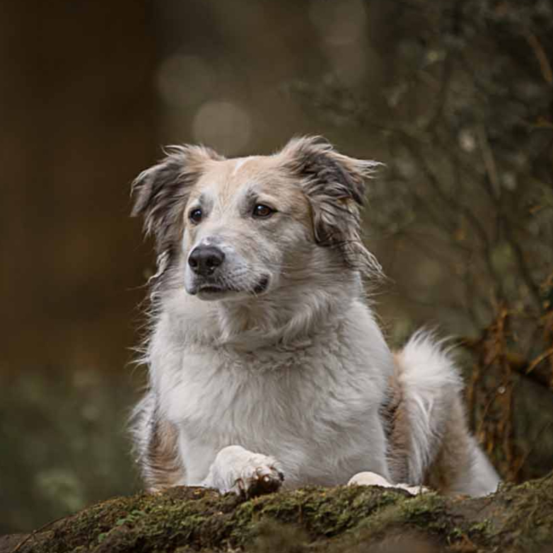 Copy of Charlie - 099_edited.jpg