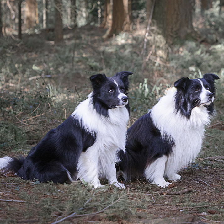 Copy of Rafiki and Darwyn - 101_edited.jpg