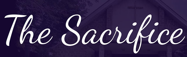 Bi-fold Special Offering Card web strip (1).jpg