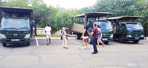 Pilanesberg Tour_edited.jpg