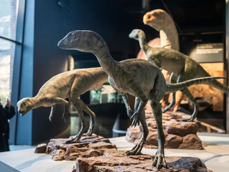 Step Into Prehistoric Africa: Visit the New Free State Dinosaur Centre with Zeigen Tours