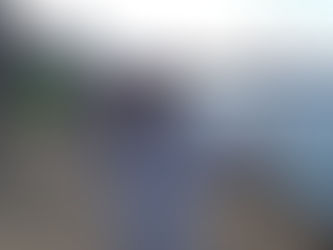 My First Octopus (たこ)