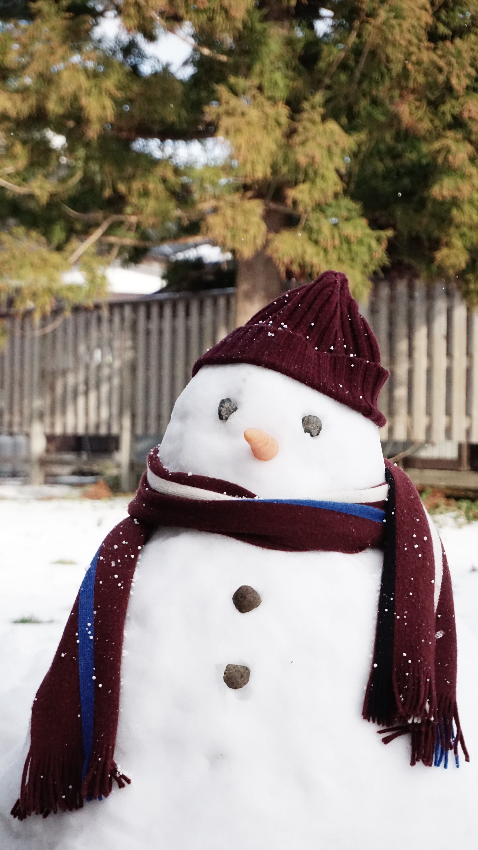 First snowman