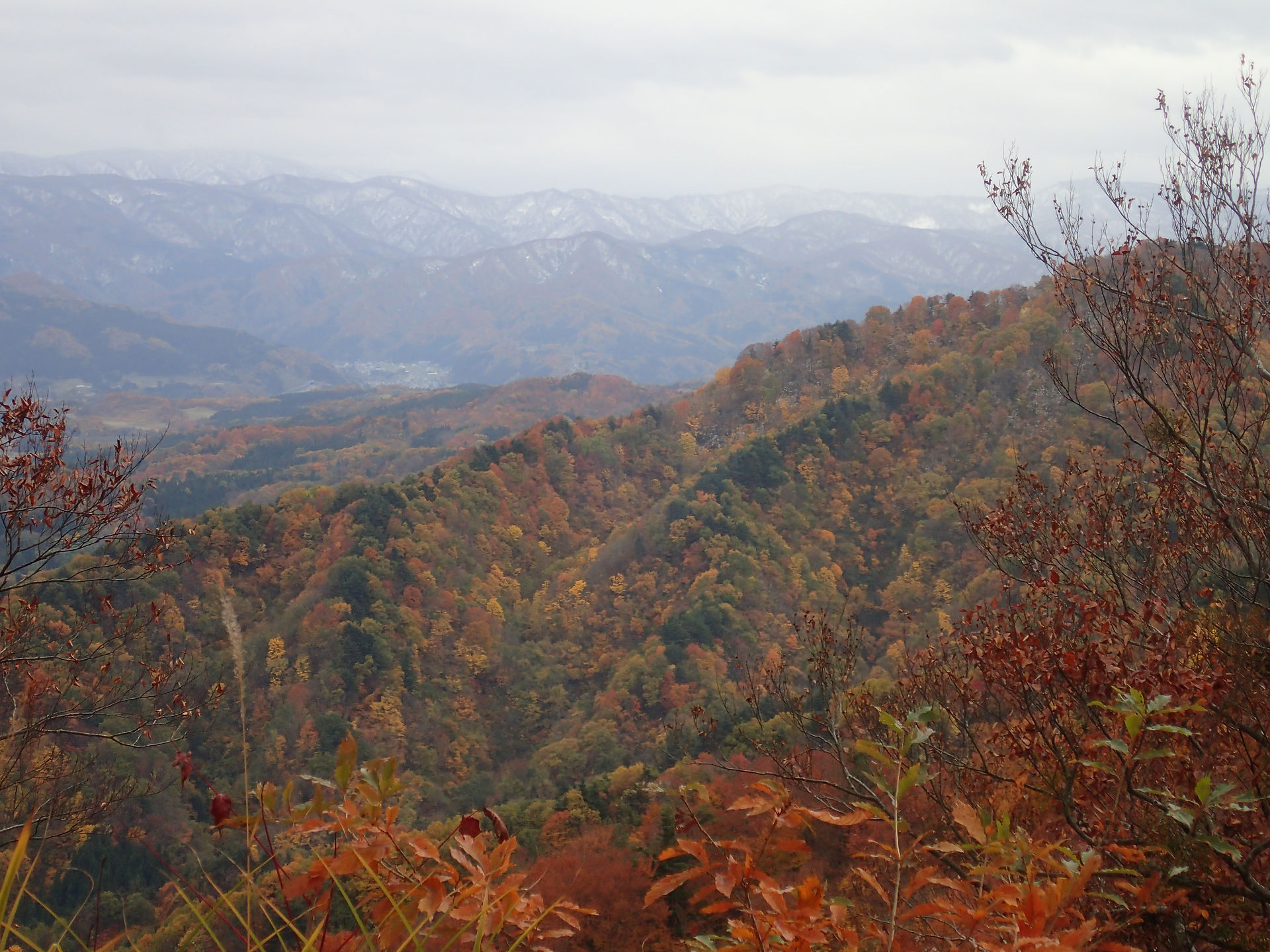 雪と紅葉