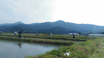 除草はじめweeding begun