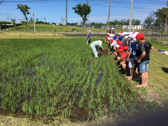 元気いっぱいの生き物調査 in 藤島