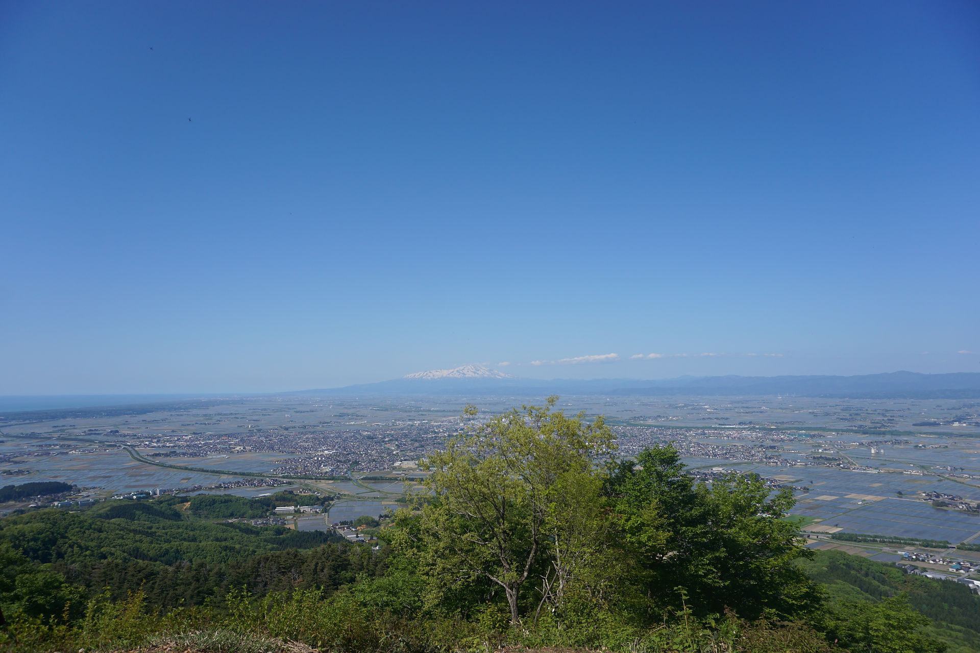 view of Tsuruoka city