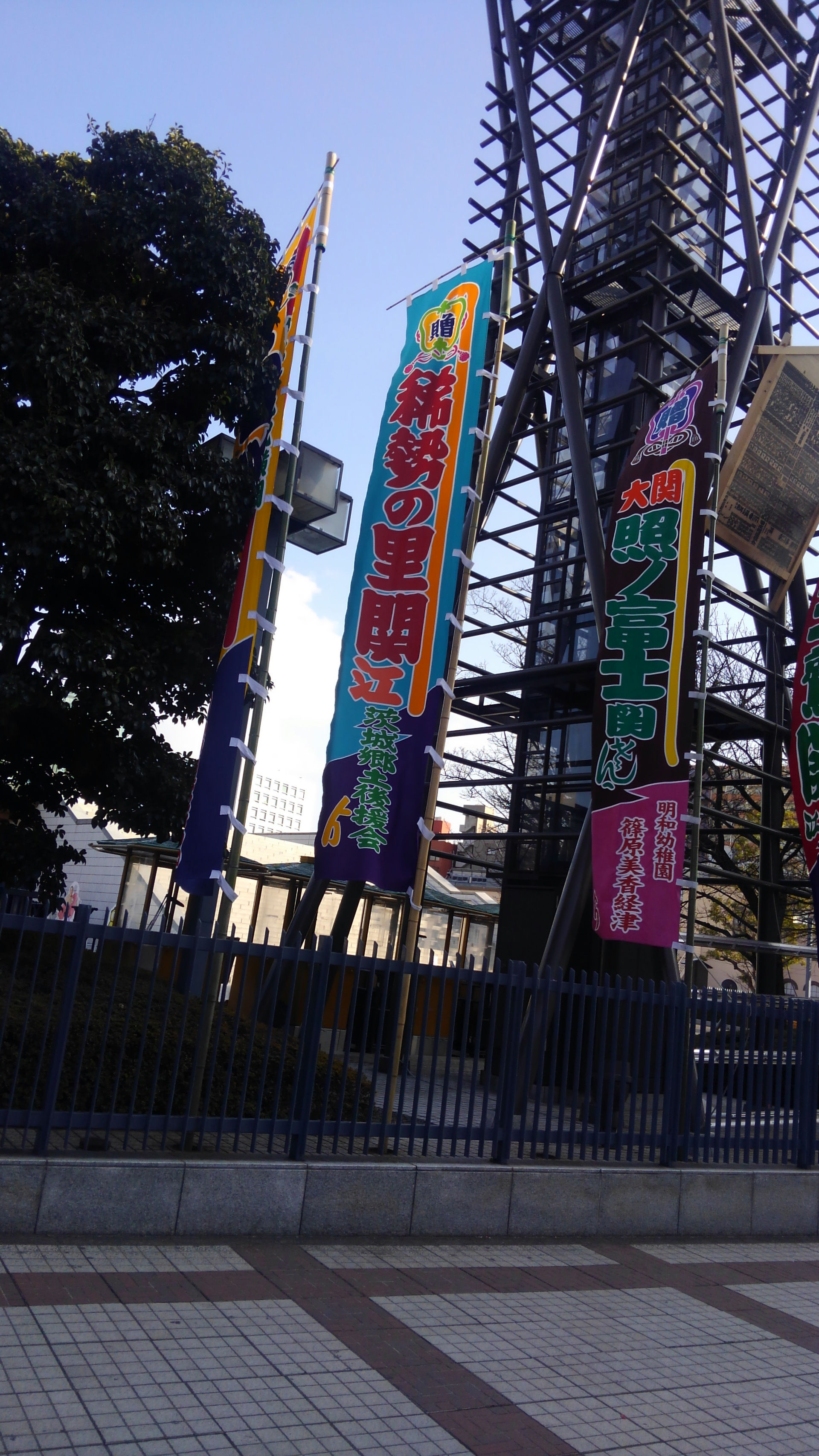 やっぱり稀勢の里。