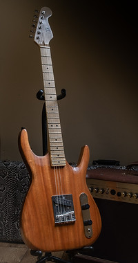 sapelle tk g_edited.jpg